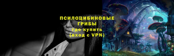 прущая мука Алзамай