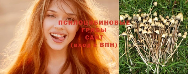 прущая мука Алзамай