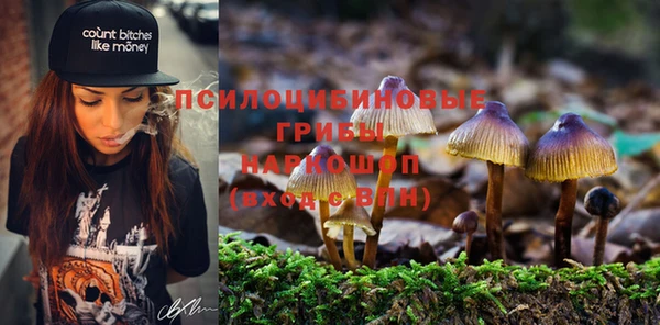 ECSTASY Алексин