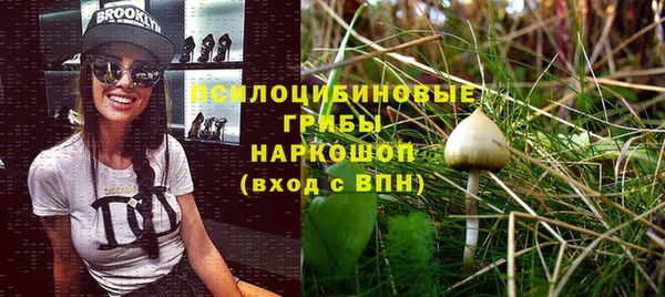 каннабис Алексеевка