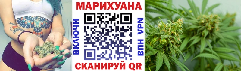 купить наркотик  Енисейск  Бошки марихуана сатива 
